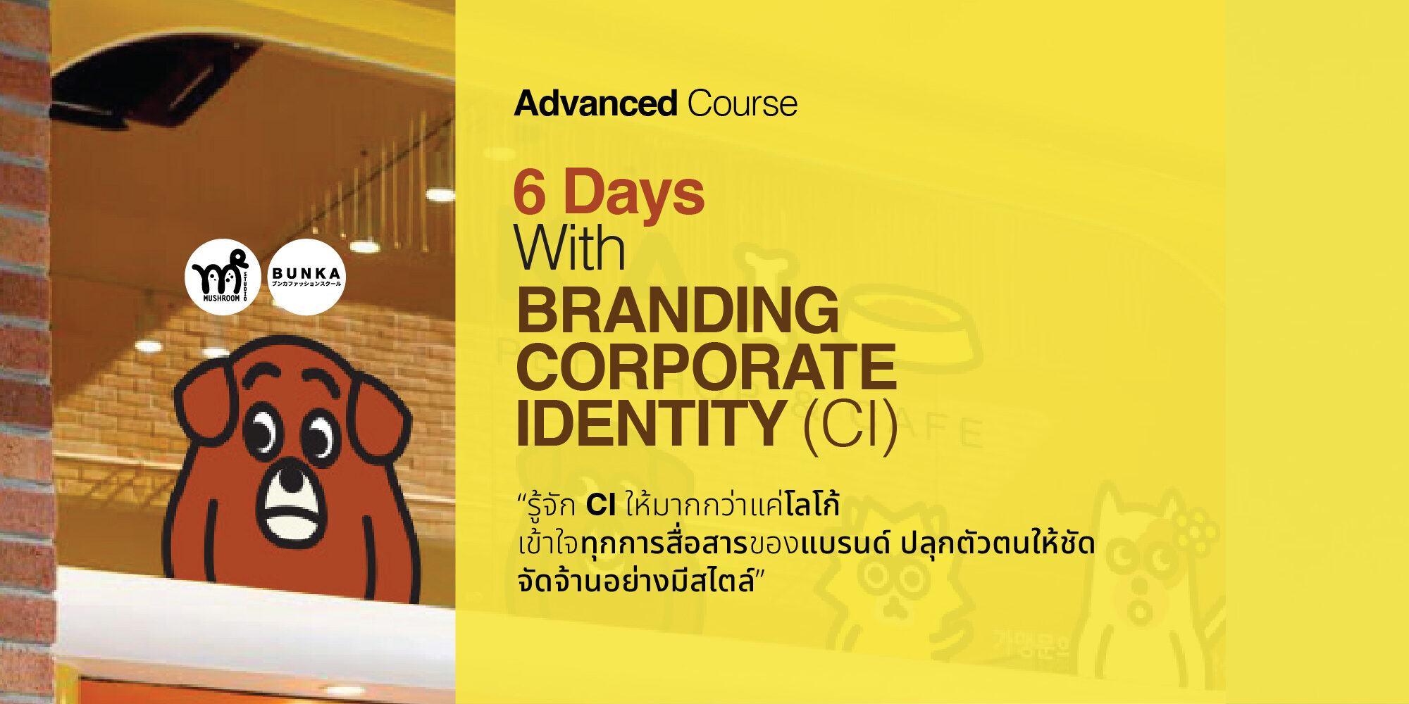 branding-CI-bunka branding-CI-bunka